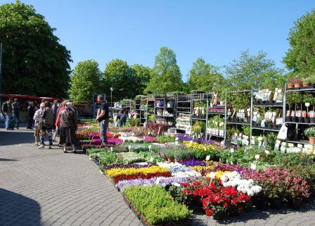 marche aux fleurs